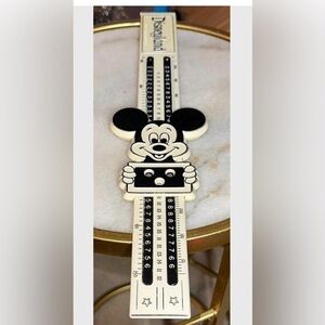 Disney Mickey Mouse Ruler and Math Conversion Slide Measurements